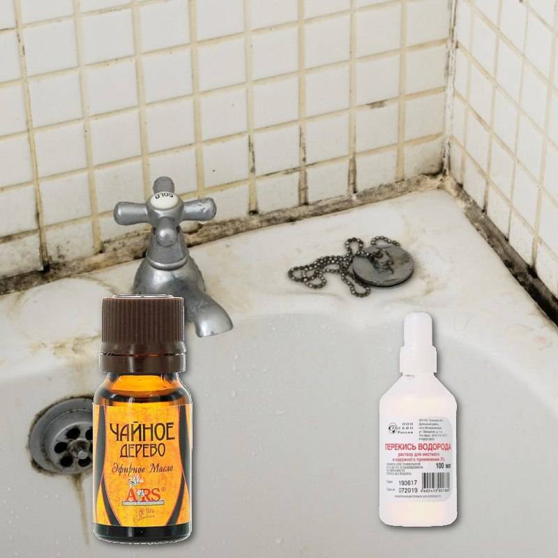 Как избавиться от плесени в ванной в домашних условиях? | советы специалистов