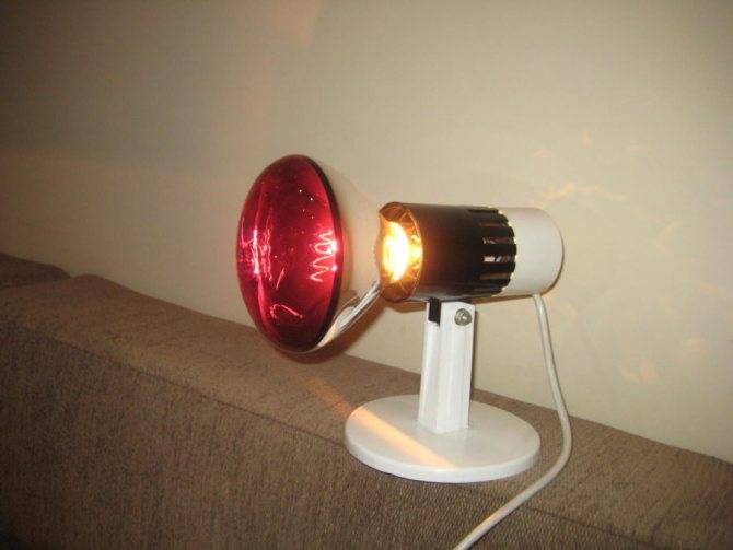 Инфракрасная лампа для обогрева помещения - принцип работы, разновидности и преимущества использования