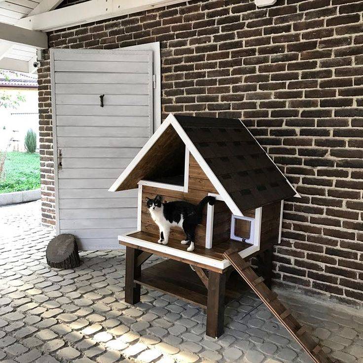 Строим сами уличный зимний домик для кошек
