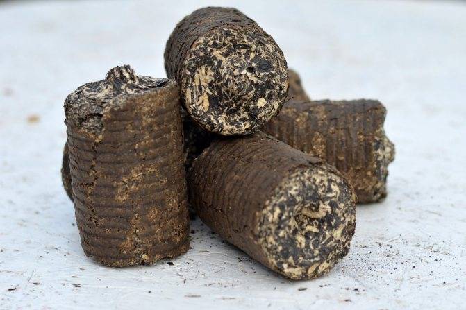 Брикеты для отопления: торфяные, из лузги, древесные и угольные