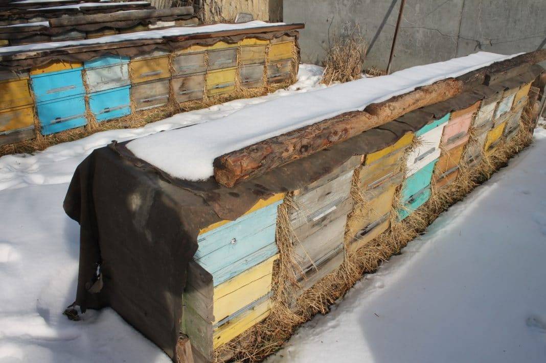 Мероприятия по подготовке пчел к зимовке