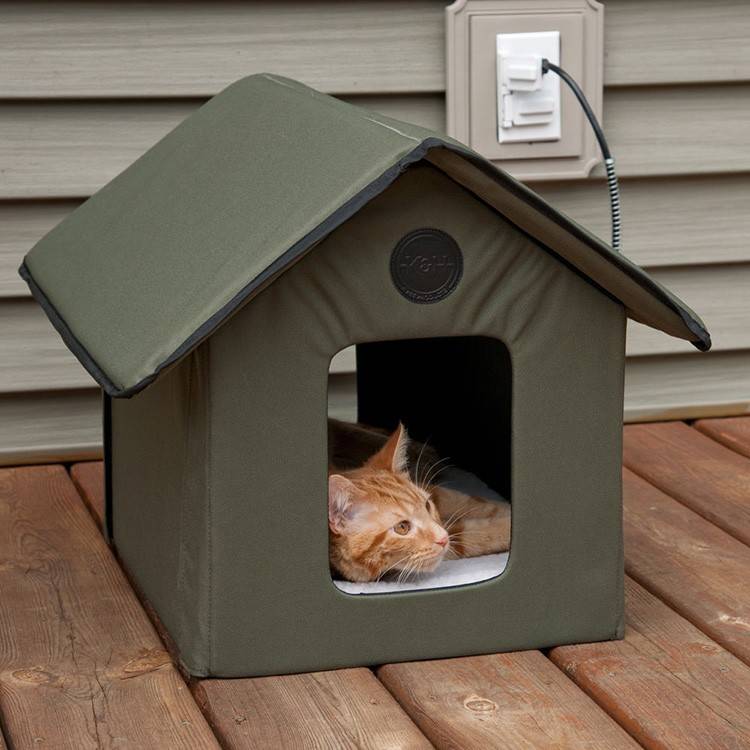 Уличный домик для кошки — как сделать зимнюю будку для кошки своими руками. идеи и инструкции с фото