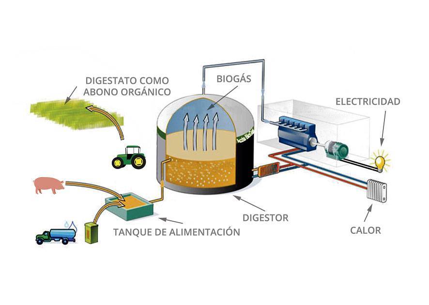 Как сделать биотопливо в домашних условиях?
