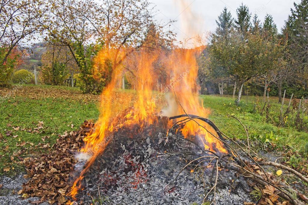 Бездымная печь для сжигания мусора: 4 эффективных технологии