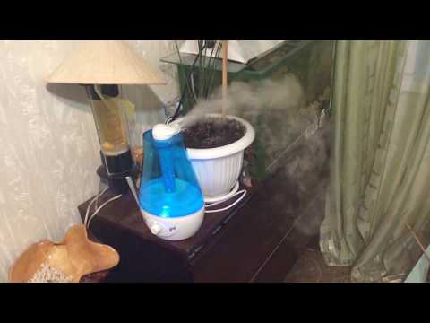 Как уменьшить влажность воздуха в квартире подручными средствами