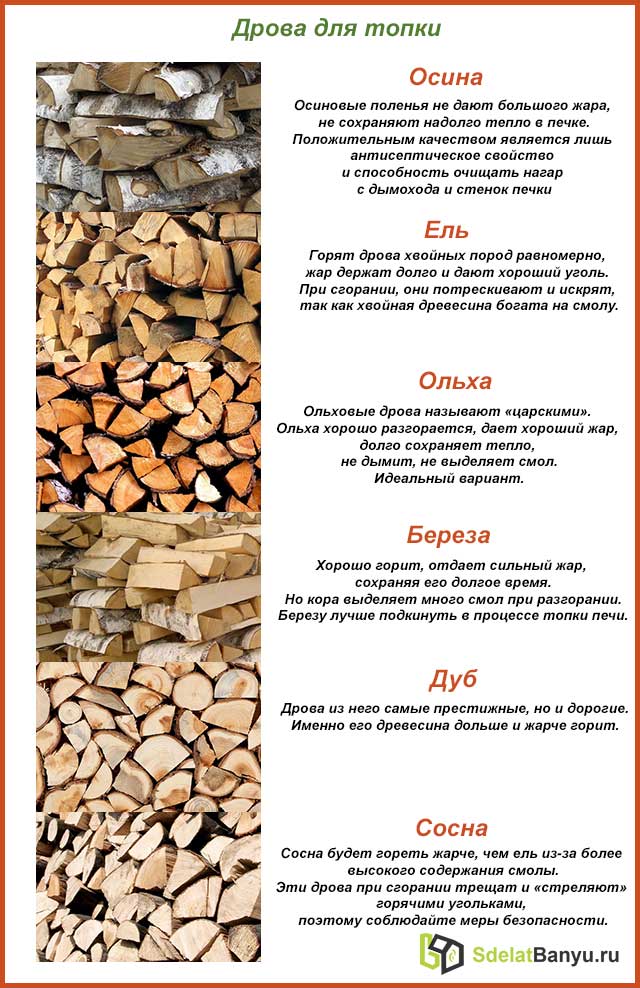 Какими дровами лучше топить печь — советы по выбору и хранению