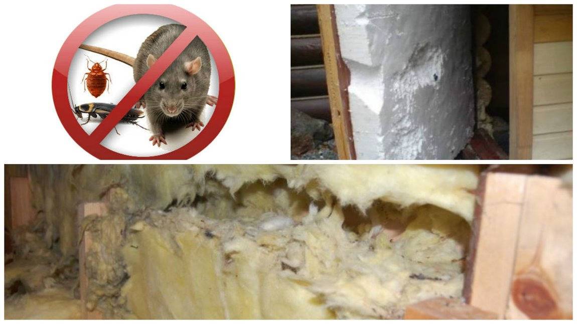 Какой утеплитель не грызут мыши и крысы: живут ли в стеклопакете и минеральной вате?