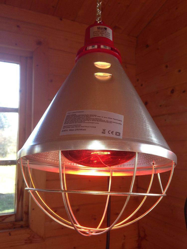 Обогрев курятника зимой с помощью инфракрасных ламп