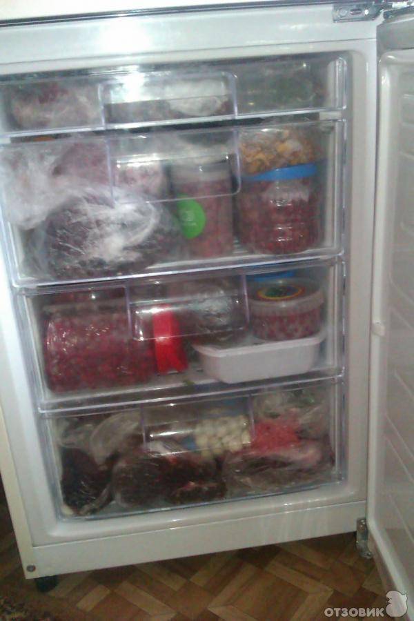 Как выбрать холодильник для дома и какая марка самая долговечная