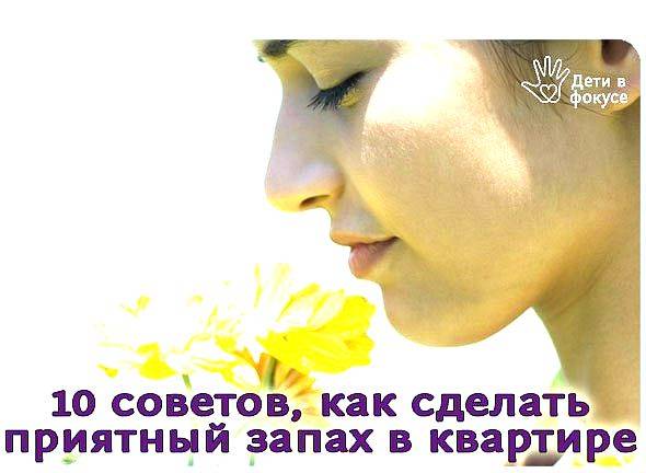 10 ароматных растений для дома, которые смело использовать вместо освежителя