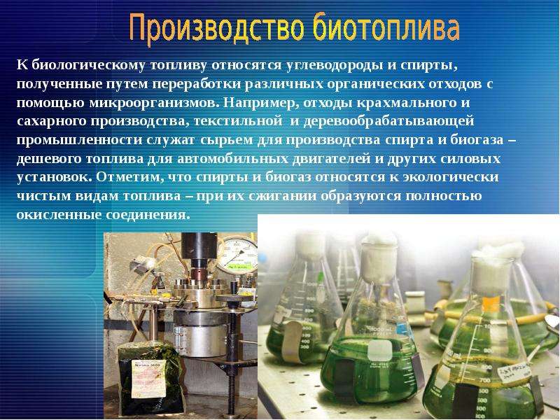С приставкой «био» — журнал «сибирская нефть» — №180 (апрель 2021)
