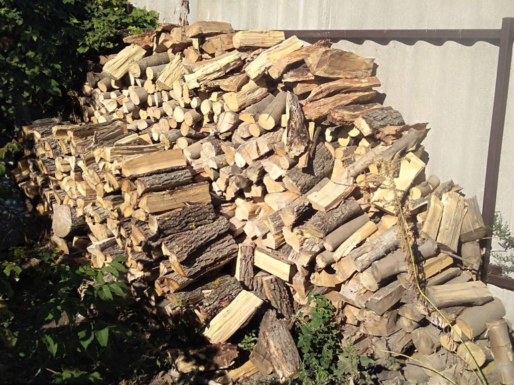 Какими дровами лучше топить печь: породы деревьев (фото и видео) | тепломонстр
