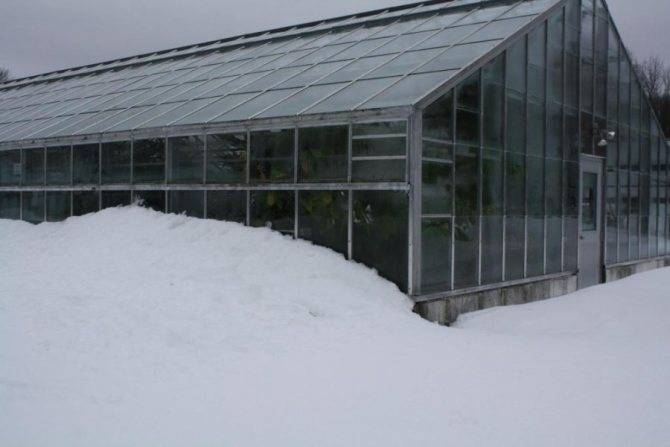 Зимняя теплица-термос и ее особенности | каталог теплиц