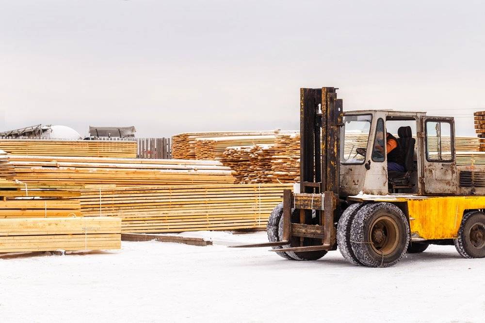 Самое дорогое дерево: ценные породы древесины в мире и в россии