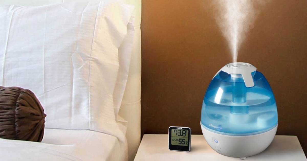 Как увлажнить воздух в квартире: простые способы повысить влажность