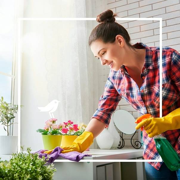 Моющие средства для уборки помещений: обзор 25 лучших!