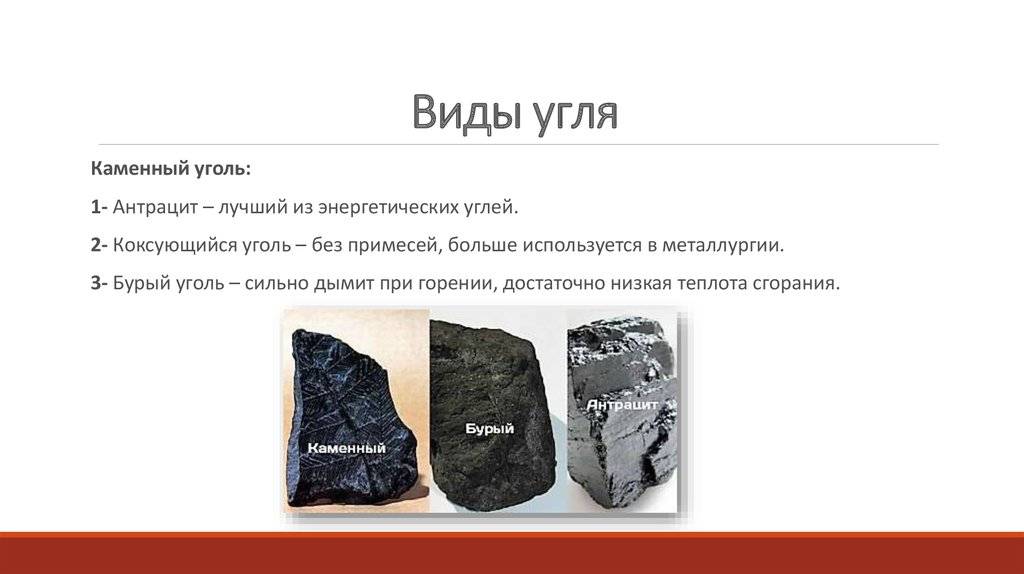 Уголь: бурый, каменный, древесный, их виды и использование