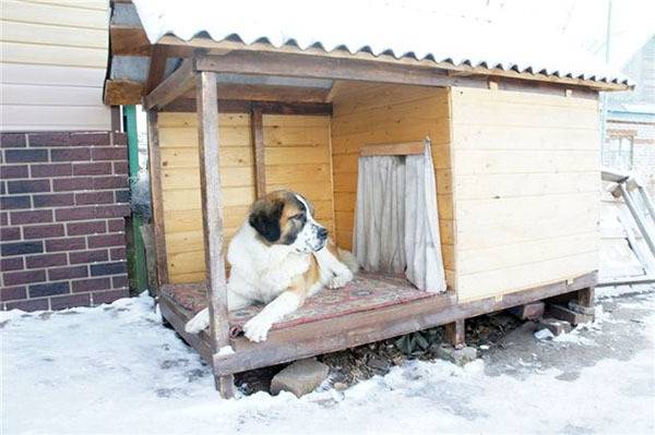 Утепленная будка для собаки (снаружи и изнутри): как сделать своими руками, чем можно, размеры для больших пород, с тамбуром и подогревом на зиму