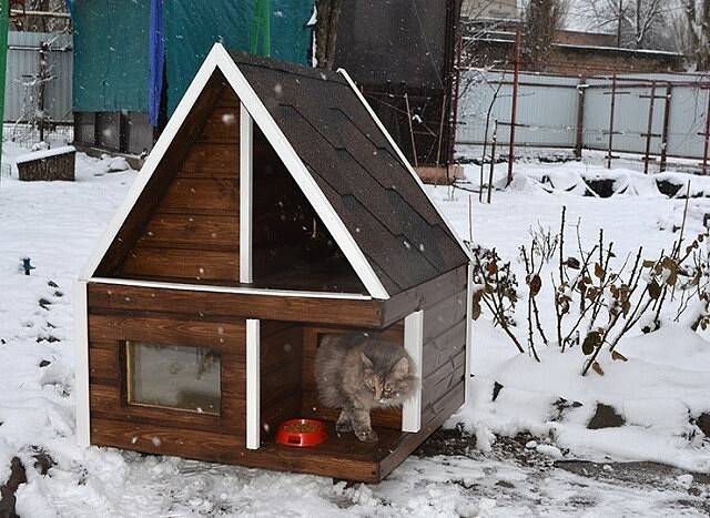 Уличные домики для кошек зимой своими руками