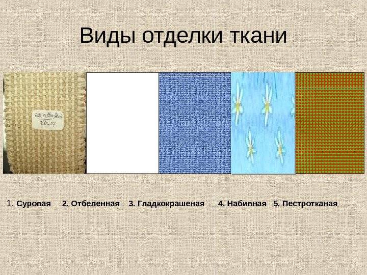 Тест по русскому языку текст 3 класс