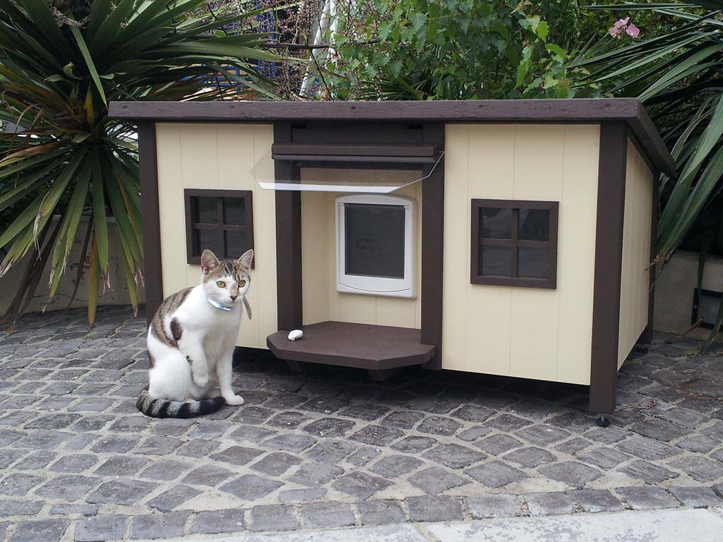 Уличный домик для кошки — как сделать зимнюю будку для кошки своими руками. идеи и инструкции с фото - мир кошек