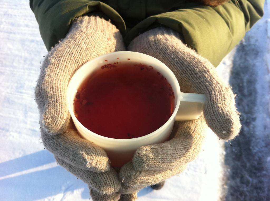 5 вкусных горячих напитков, которые стоит взять с собой в термосе для прогулки по морозу