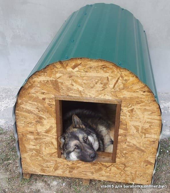 Как утеплить будку для собаки на зиму: материалы для теплоизоляции конуры и другие способы защиты пса от холода