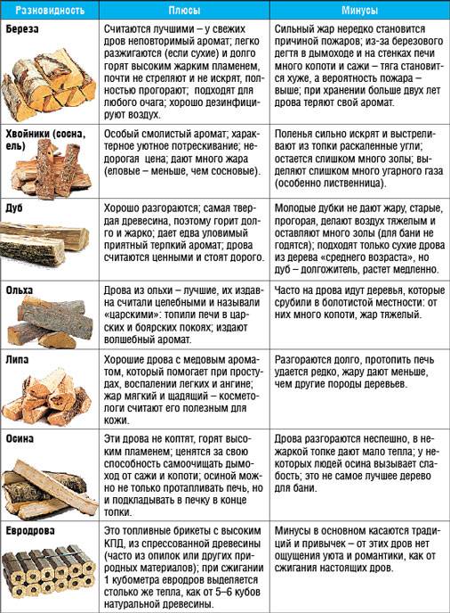 Дрова из различных пород древесины: какие лучше применять, обзор популярных вариантов, плюсы и минусы