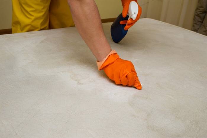 Как почистить или помыть матрас в домашних условиях – 11 способов вывести грязь и пятна с матраса